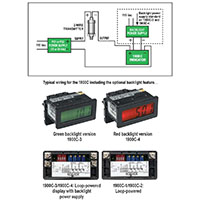 1900C Series Compact Loop-Powered Digital Indicators - 3