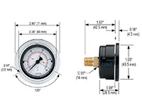 100 Series 0 to 100 psi Pressure Range Acrylonitrile Butadiene Styrene (ABS) and Steel Case Dry Pressure Gauge with Front Flange (20-110-100-psi/bar)