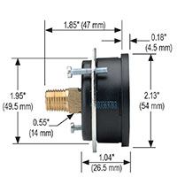 100 Series 0 to 100 psi Pressure Range Acrylonitrile Butadiene Styrene (ABS) and Steel Case Dry Pressure Gauge with Panel Mount Clamp (20-110-100-psi/bar)