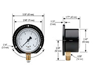 200 Series 2-1/2 in. Gauge Size Diaphragm Dry Low Pressure Gauge with Rear Flange - 2