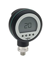 PGE20 Series - General Purpose Digital Gauge